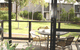 Margarets Forest Holiday Apartments - thumb 1