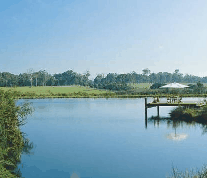 Forest Rise Eco Retreat - Taree Accommodation