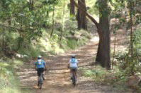 Craigmhor Mountain Retreat - Taree Accommodation 2