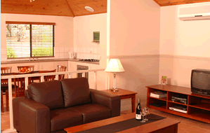 Bushy Lake Chalets - Taree Accommodation 2