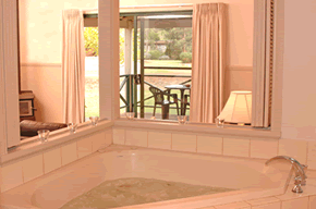 Bushy Lake Chalets - Taree Accommodation 3