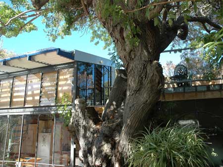 The Painted Fish - Taree Accommodation 3