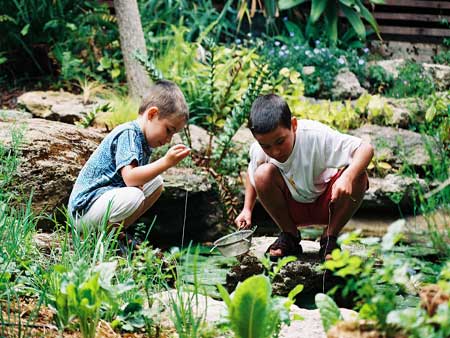 The Painted Fish - Taree Accommodation 4