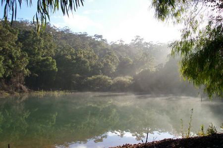 Karri Valley Chalets - Taree Accommodation 2