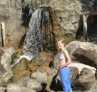 Misty Valley Country Cottages - Taree Accommodation