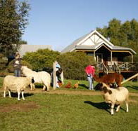 Sunnyhurst Chalets - Taree Accommodation