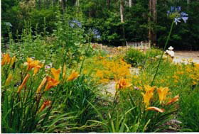 Warren River Cottages - Taree Accommodation 1