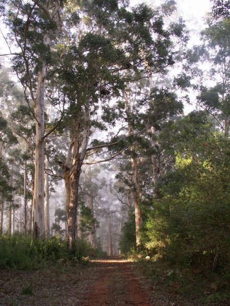 Warren River Cottages - Taree Accommodation 2