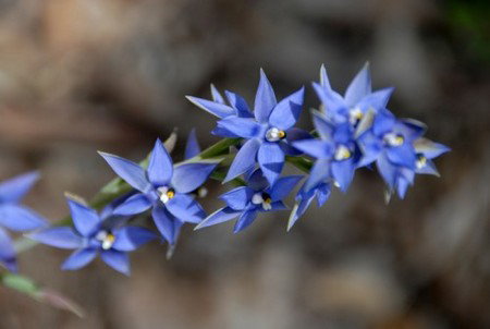 Warren River Cottages - Taree Accommodation 3