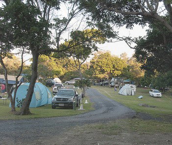 Flat Rock Tent Park - Taree Accommodation 3