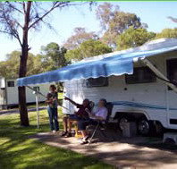 Bega Caravan Park - Taree Accommodation
