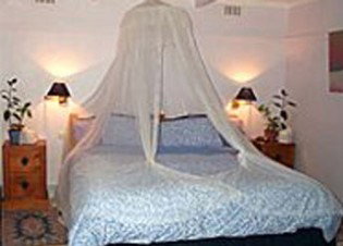 Bondi Beach Garden Sweet - Taree Accommodation 0