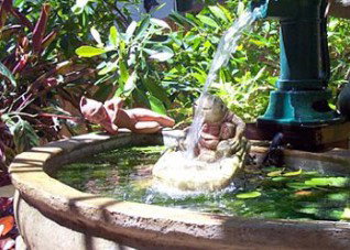 Bondi Beach Garden Sweet - Taree Accommodation 3