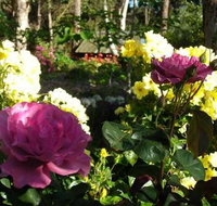 Ford House Retreat - Taree Accommodation