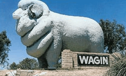 Wagin Motel - Taree Accommodation