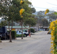 Albury All Seasons Tourist Park - Taree Accommodation