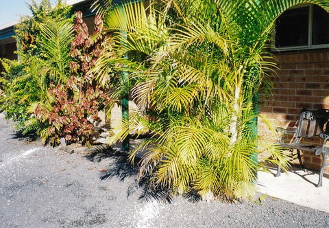 Bulahdelah Myall Motel - Taree Accommodation 4