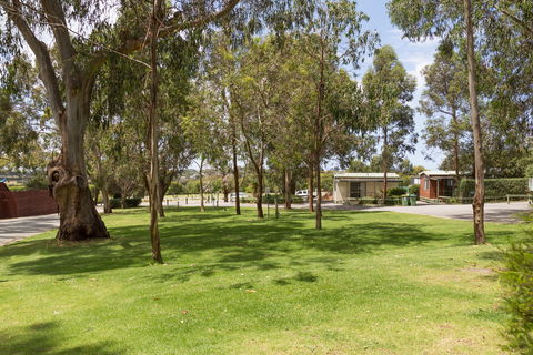 A Maze'N Things Holiday Park And Motel - Taree Accommodation 0