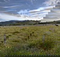 Annas Retreat - Taree Accommodation