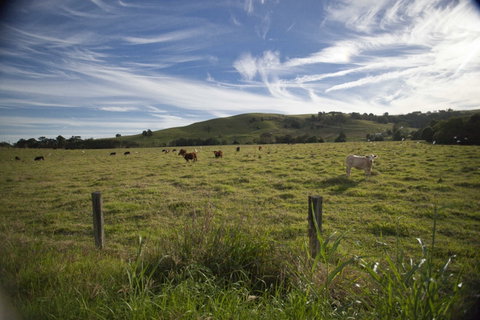 Annas Retreat - Taree Accommodation 0