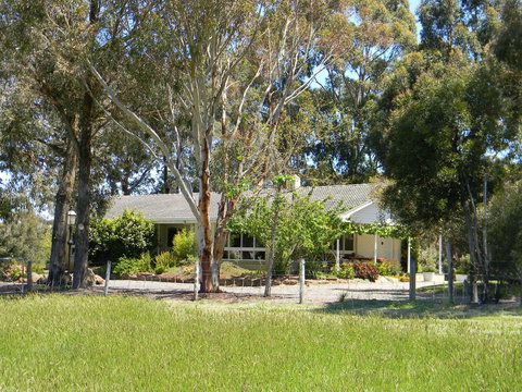 Cygnet Park Country Retreat - Taree Accommodation 1