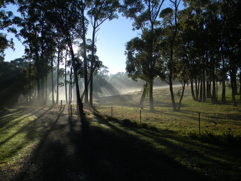Cygnet Park Country Retreat - Taree Accommodation 2