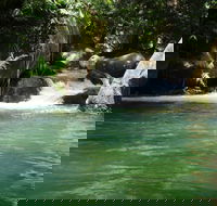 Daintree Secrets Rainforest Sanctuary - Taree Accommodation