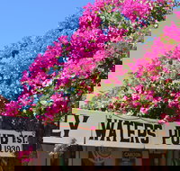 Daly Waters Historic Pub - Taree Accommodation