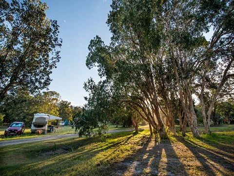 Delicate Campground - Taree Accommodation 0