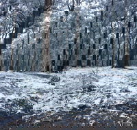 High Peaks Cottages - Taree Accommodation