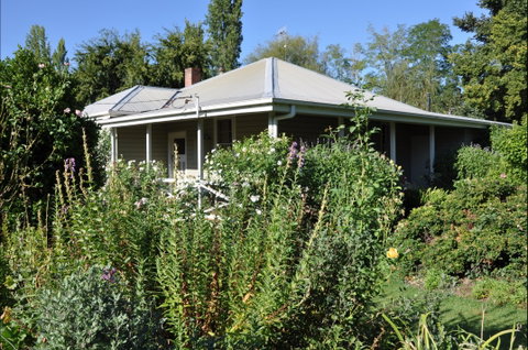 Honeysuckle Cottage - Taree Accommodation 0