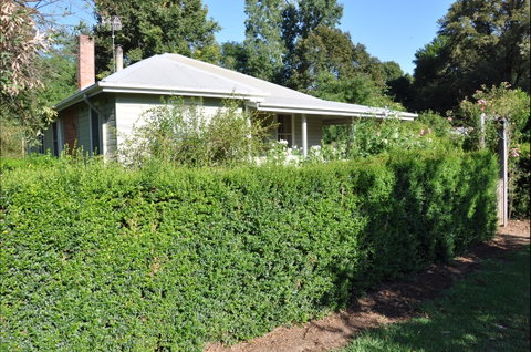 Honeysuckle Cottage - Taree Accommodation 1