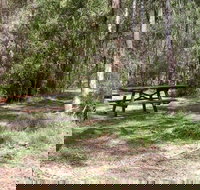 Mulloon Creek campground - Taree Accommodation