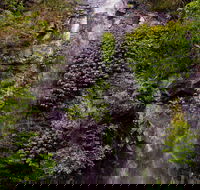 Nimbin Waterfall Retreat - Taree Accommodation