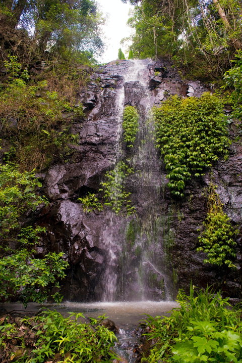 Nimbin Waterfall Retreat - Taree Accommodation 0