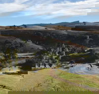 Paradise Valley Camping Park - Taree Accommodation