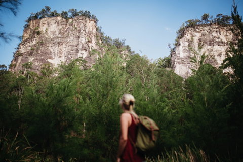 Sandstone Park Carnarvon Gorge - Taree Accommodation 0
