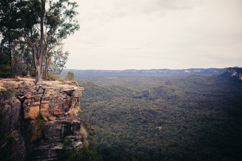Sandstone Park Carnarvon Gorge - Taree Accommodation 1