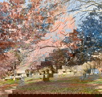 Tumbarumba Caravan Park - Taree Accommodation