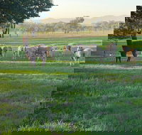 Wallinga Studio Farmstay - Taree Accommodation