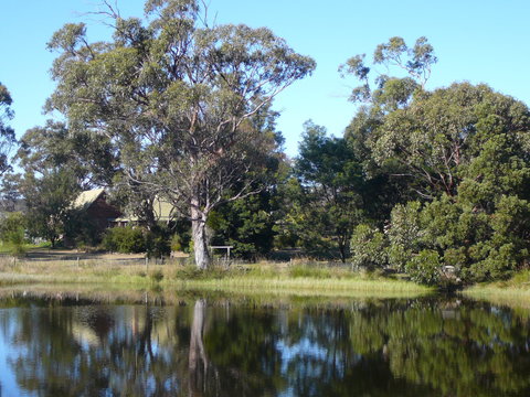 Wind Song Bed And Breakfast - Taree Accommodation 2