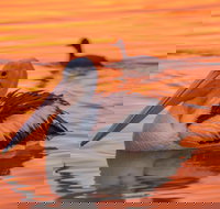 4 Pelican Court - River Shack Rentals - Taree Accommodation