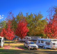 Beechworth Lake Sambell Caravan Park - Taree Accommodation