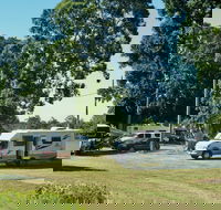 Coraki Caravan Park - Taree Accommodation