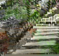 Loxley on Bellbird Hill - Taree Accommodation