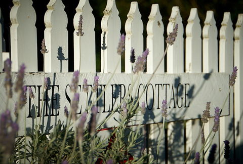 Mayfield Vineyard Cottages - Taree Accommodation 0