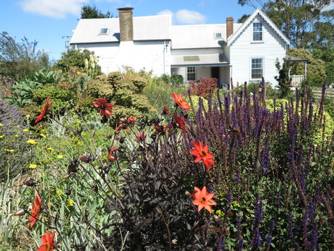 Robin Hood's Well Farm Stay - Taree Accommodation 2