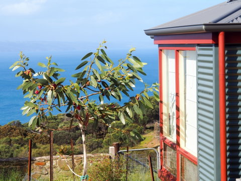 The Grass Tree Coastal Retreat Kangaroo Island - Taree Accommodation 1
