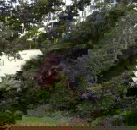 Turkeys Nest Rainforest Cottages Mt Glorious - Taree Accommodation