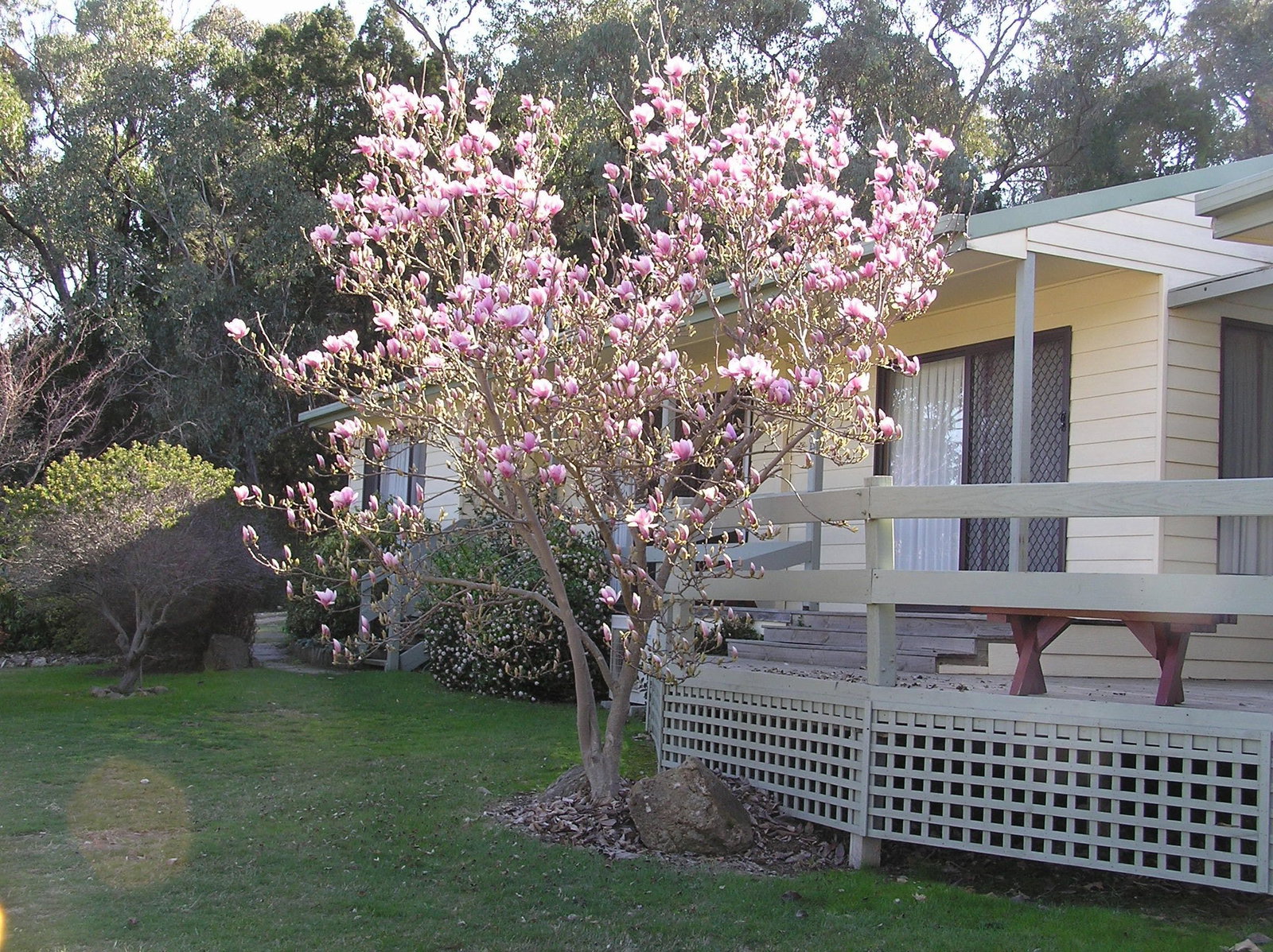 Beechworth VIC Taree Accommodation